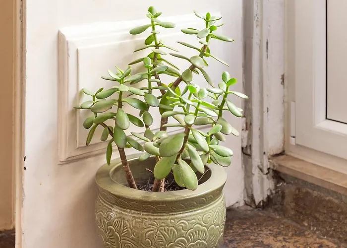 Alfama Typical 2 Bedroom דירה ליסבון