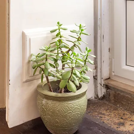 Alfama Typical 2 Bedroom דירה ליסבון